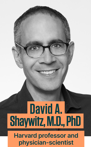 David A Shaywitz, MD PhD
